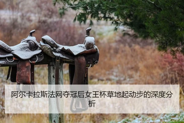 a-er-ka-la-si-fa-wang-duo-guan-hou-nv-wang-bei-cao-di-qi-dong-bu-de-shen-du-fen-xi-2-288.jpg