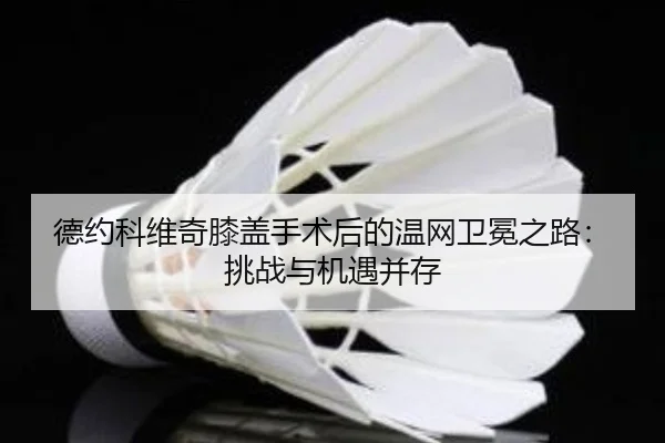 德约科维奇膝盖手术后的温网卫冕之路：挑战与机遇并存