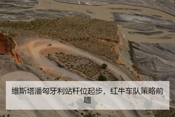 维斯塔潘匈牙利站杆位起步，红牛车队策略前瞻